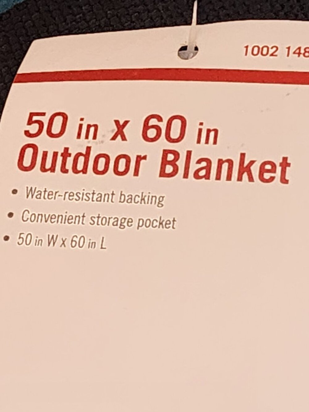 Home Depot Teal Lattice Pattern 50"x60" Water Resistant Backing Outdoor Blanket - Picture 16 of 16